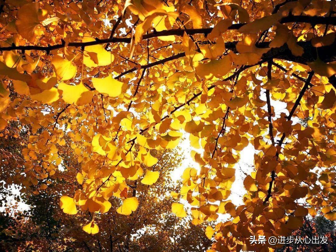 胡思乱想被自己思维控制,胡思乱想时要打断思维吗