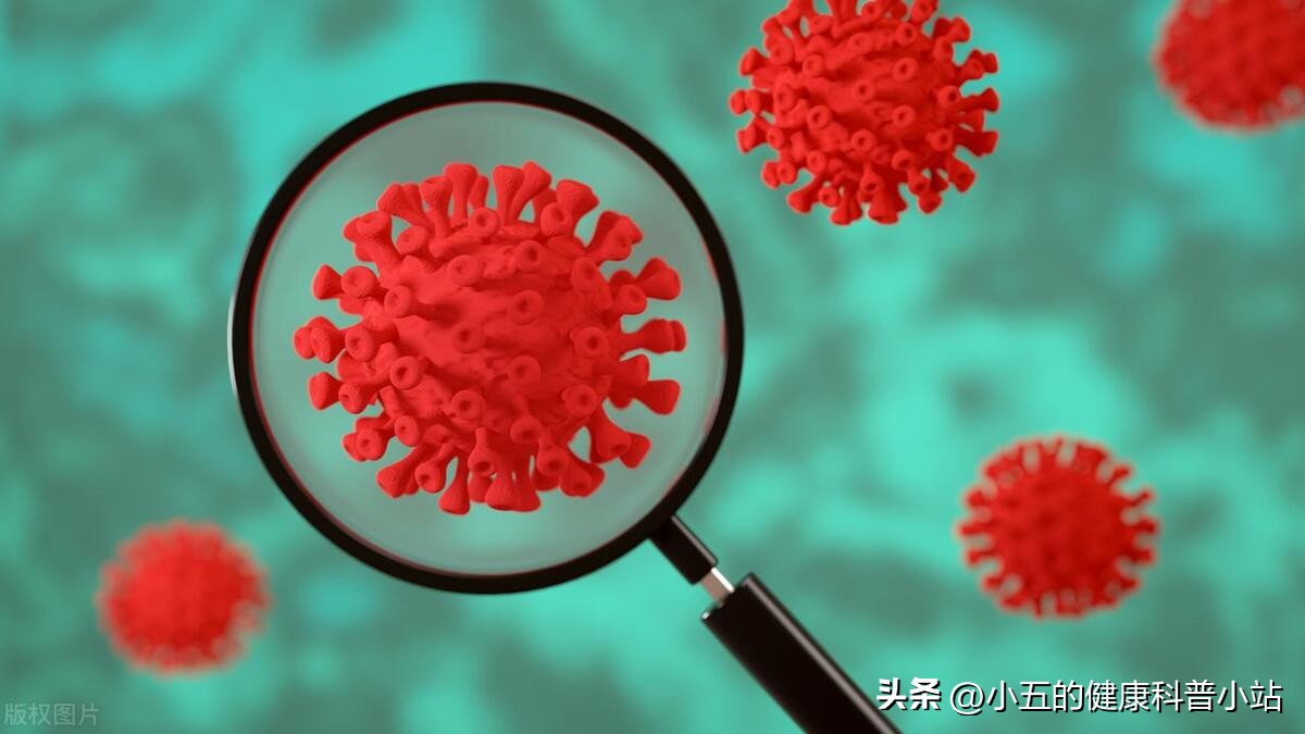 老年人提高免疫力吃什么药物,老年人提高免疫力吃什么药效果好