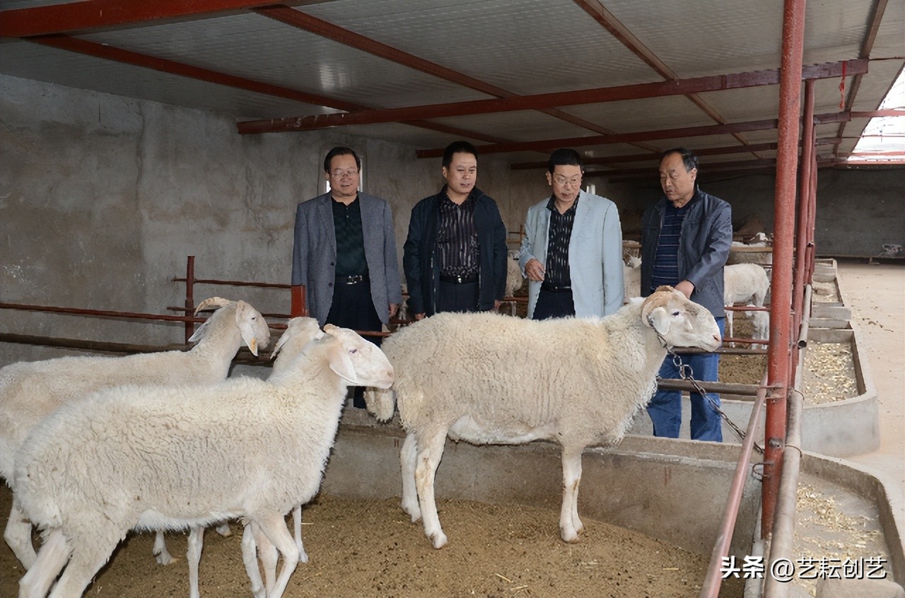 全国农产品产地分布图,甘肃省特色农产品有哪些