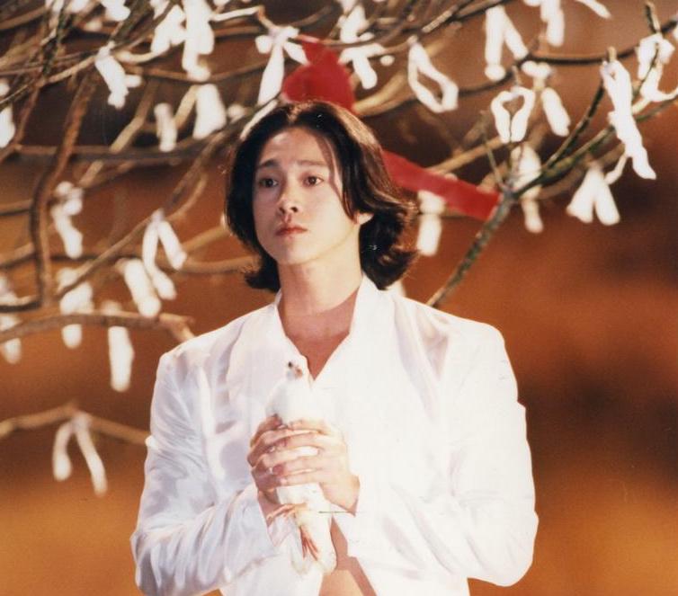 嫁入豪门的八大男星,8位明星娶外籍老婆