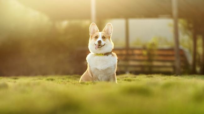 娓╁窞涓氫富闂圭炕浜嬩欢,娓╁窞涓氫富闂圭炕浜嬩欢鍚庣画