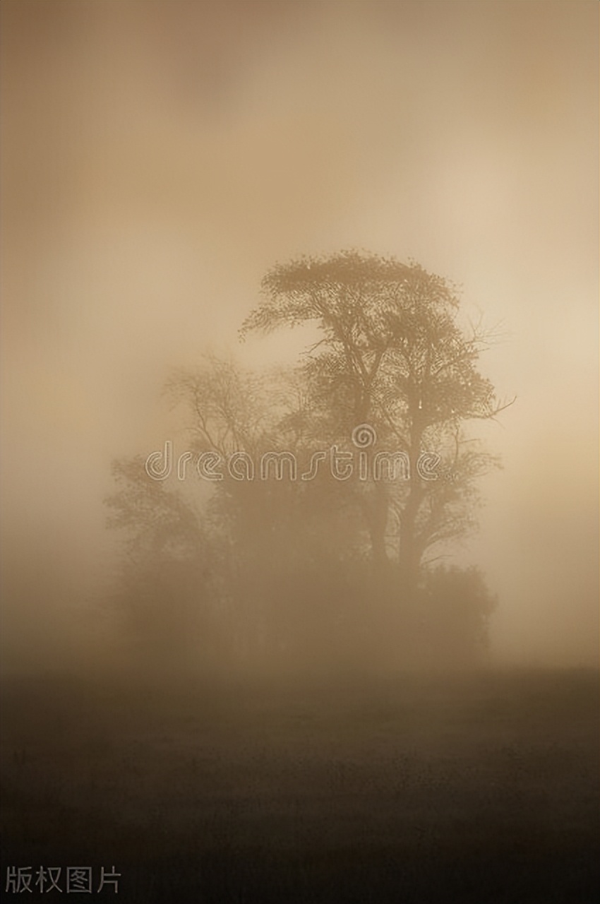 苍茫缥缈,天苍苍野茫茫的诗句唯美简短