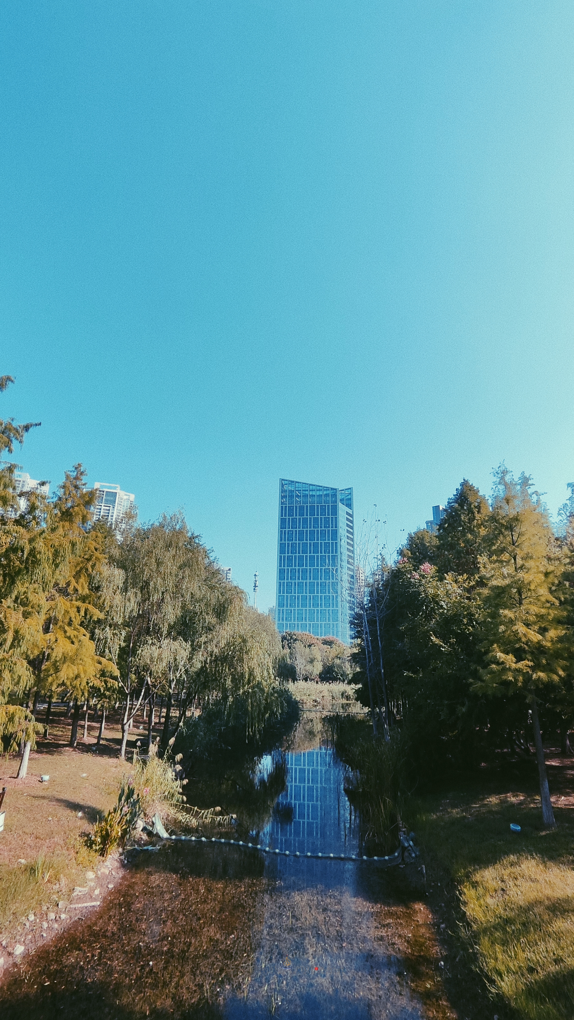 武汉内环大沙湖旅游,武汉沙湖公园最新视频