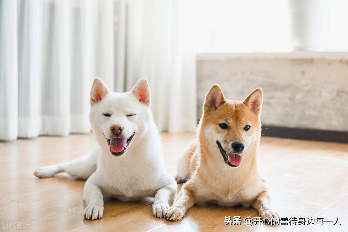 明年三大赚钱行业前景,现在什么实体行业前景好最赚钱的