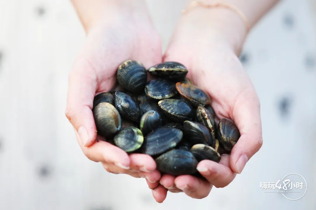 山东荣成云栖民宿,荣成海云栖民宿