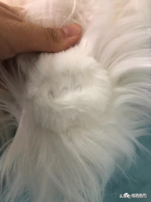 赚再多的钱你的心也得不到满足吗,心理学为什么赚再多的钱也不满足