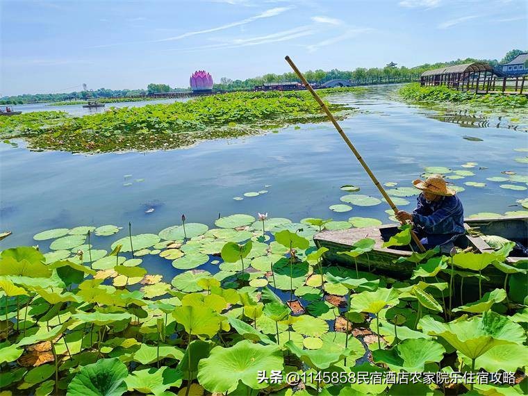 白洋淀农家打鱼,白洋淀农家院野钓推荐