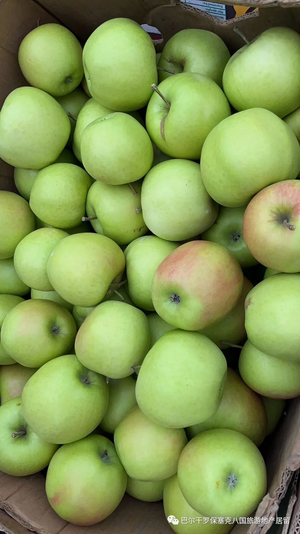 罗马尼亚蔬菜,罗马尼亚大型水果批发市场