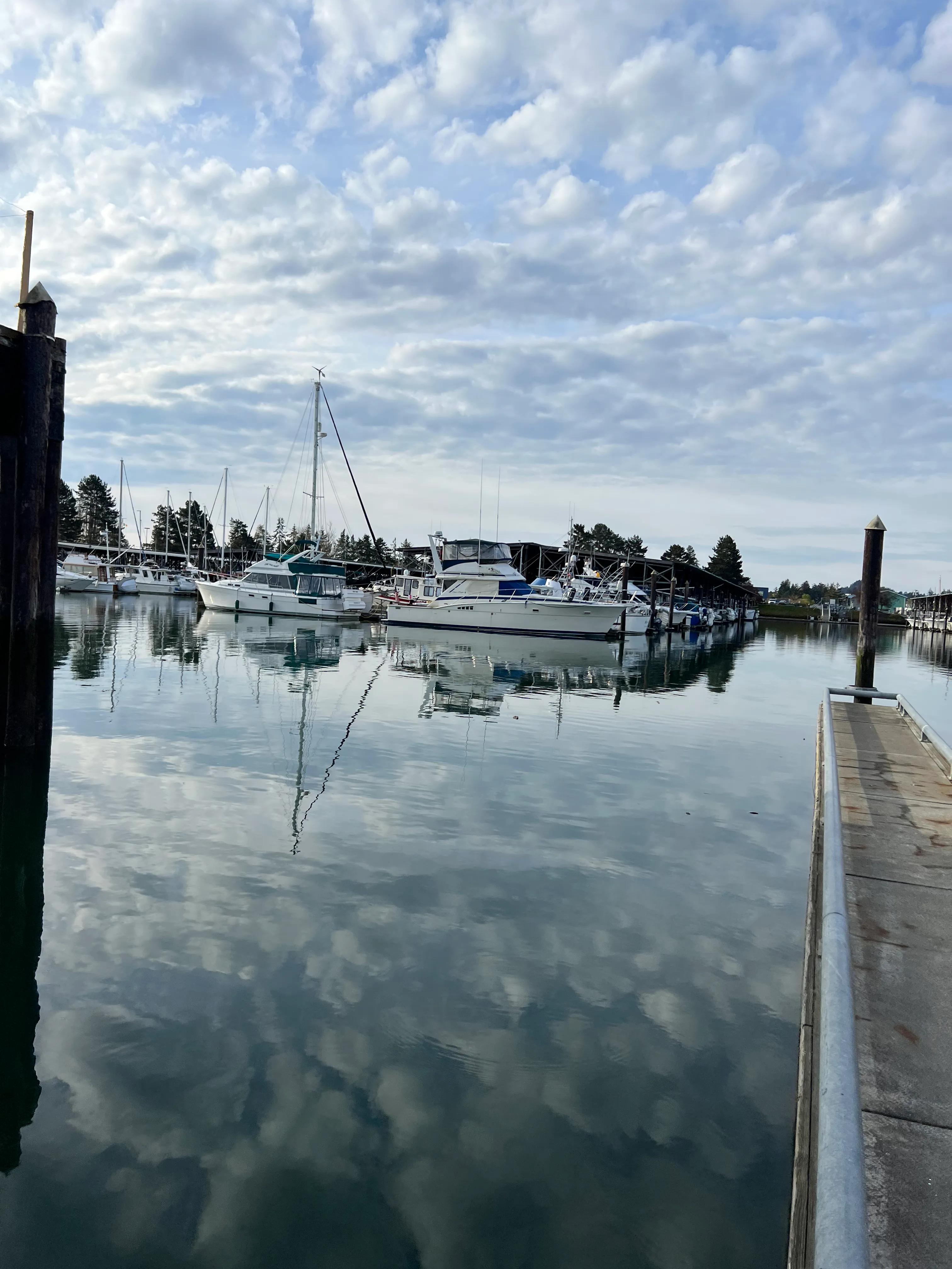 美国签证evus申请指南,美国签证evus什么意思