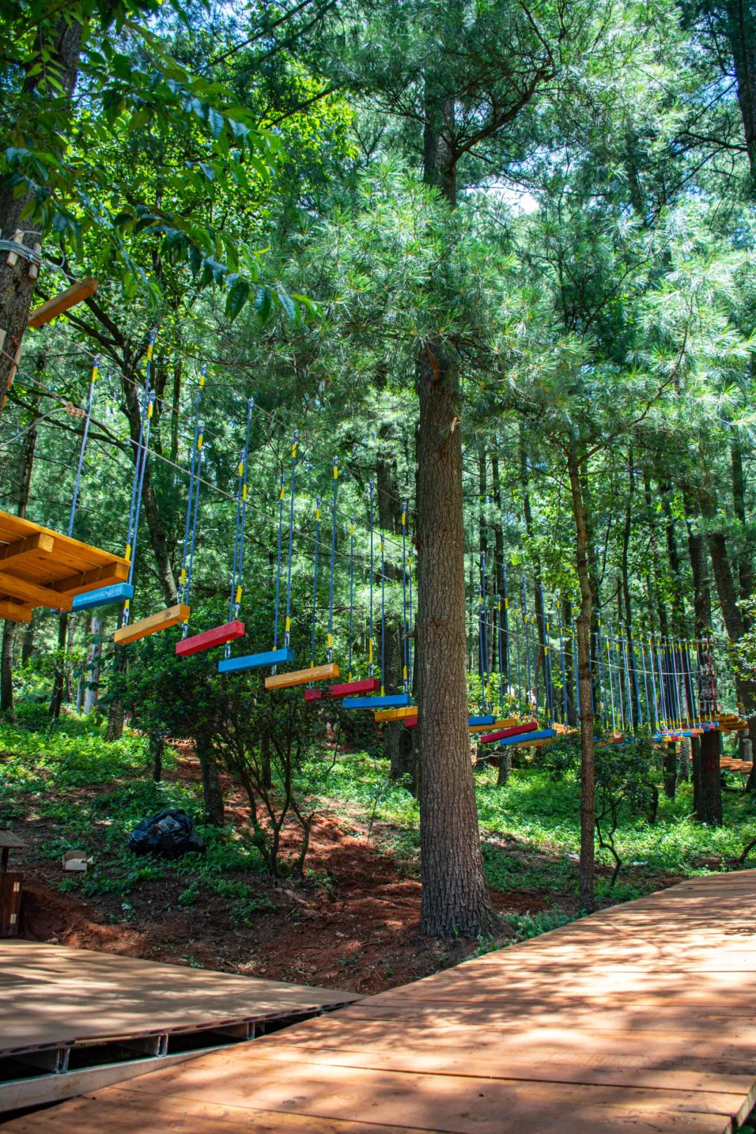 昆明旅游攻略一日游景点推荐理由,昆明旅游景点推荐一日游攻略图