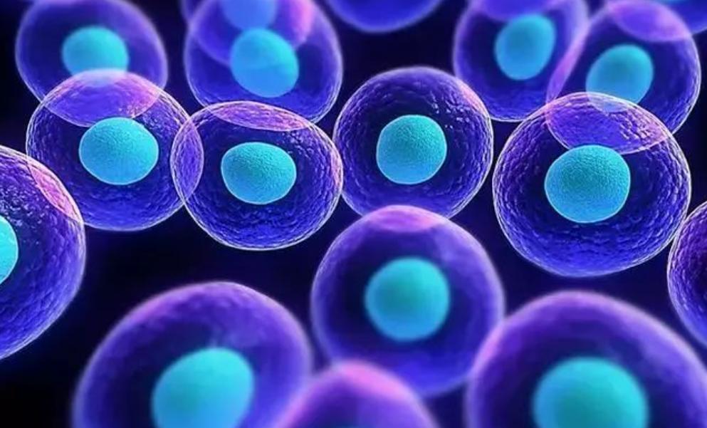 治疗阳痿的维生素,治疗阳痿缺哪种营养