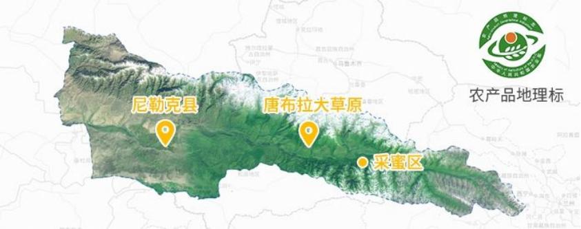 纯天然唐布拉黑蜂蜂蜜,新疆唐布拉黑蜂蜂蜜正宗吗