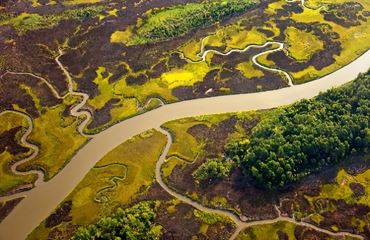 碳基生命必读！跟随碳原子脚步，重新游历138亿年的万物演化之旅