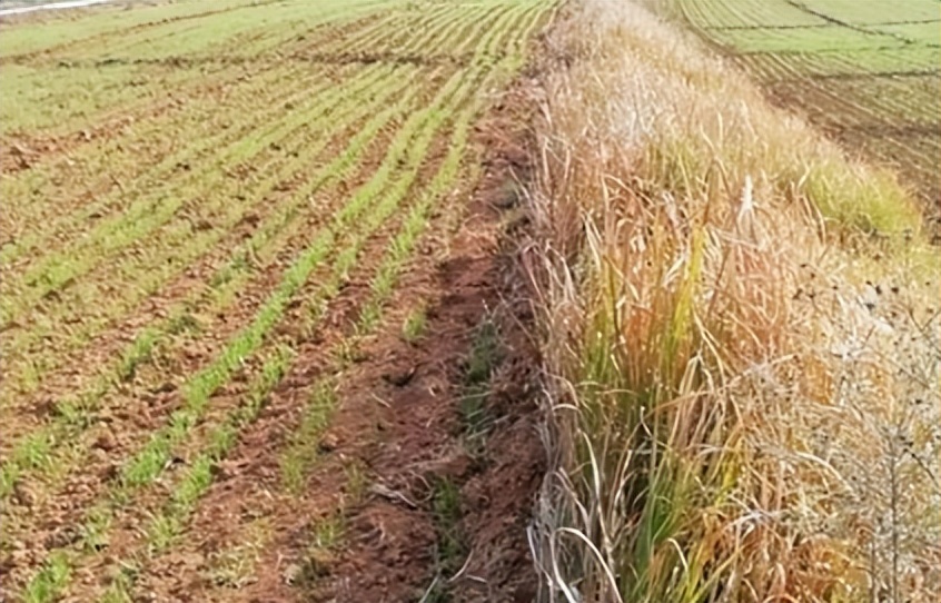 新英格兰地区有哪些,新英格兰地区版图