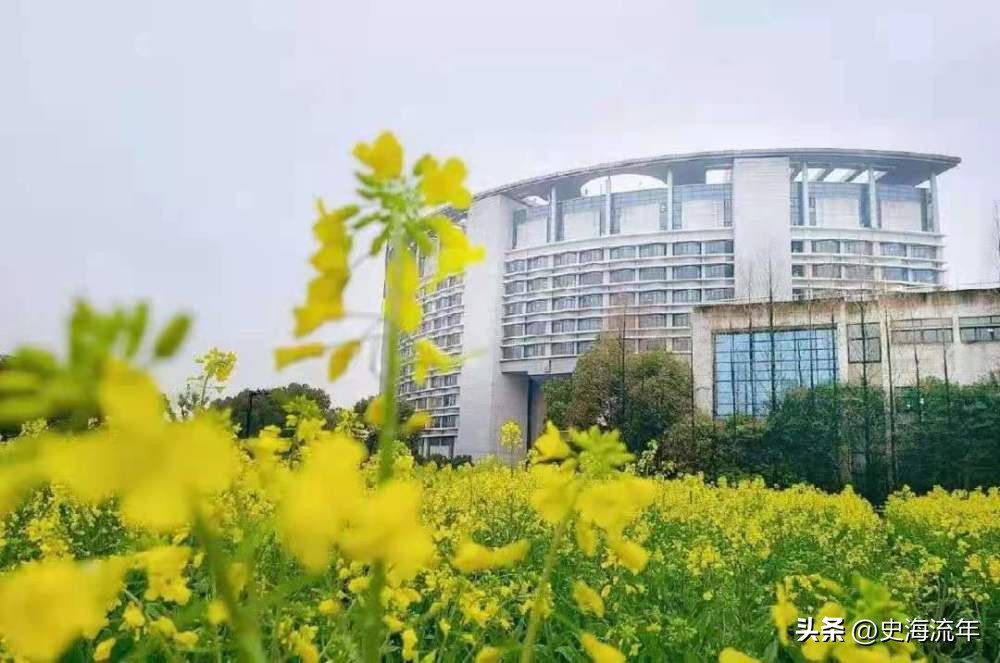 中国十大名校大学排名浙江大学,中国最好大学排名浙江大学