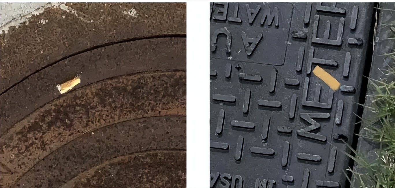 60+开源数据集资源大合集（医学图像、卫星图像、自动驾驶等）