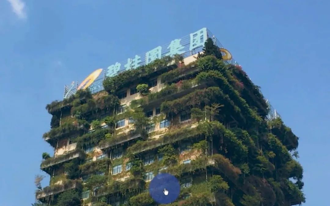 遭网红举报，杭州新东方全面停课！碧桂园承认遇到最大危机……