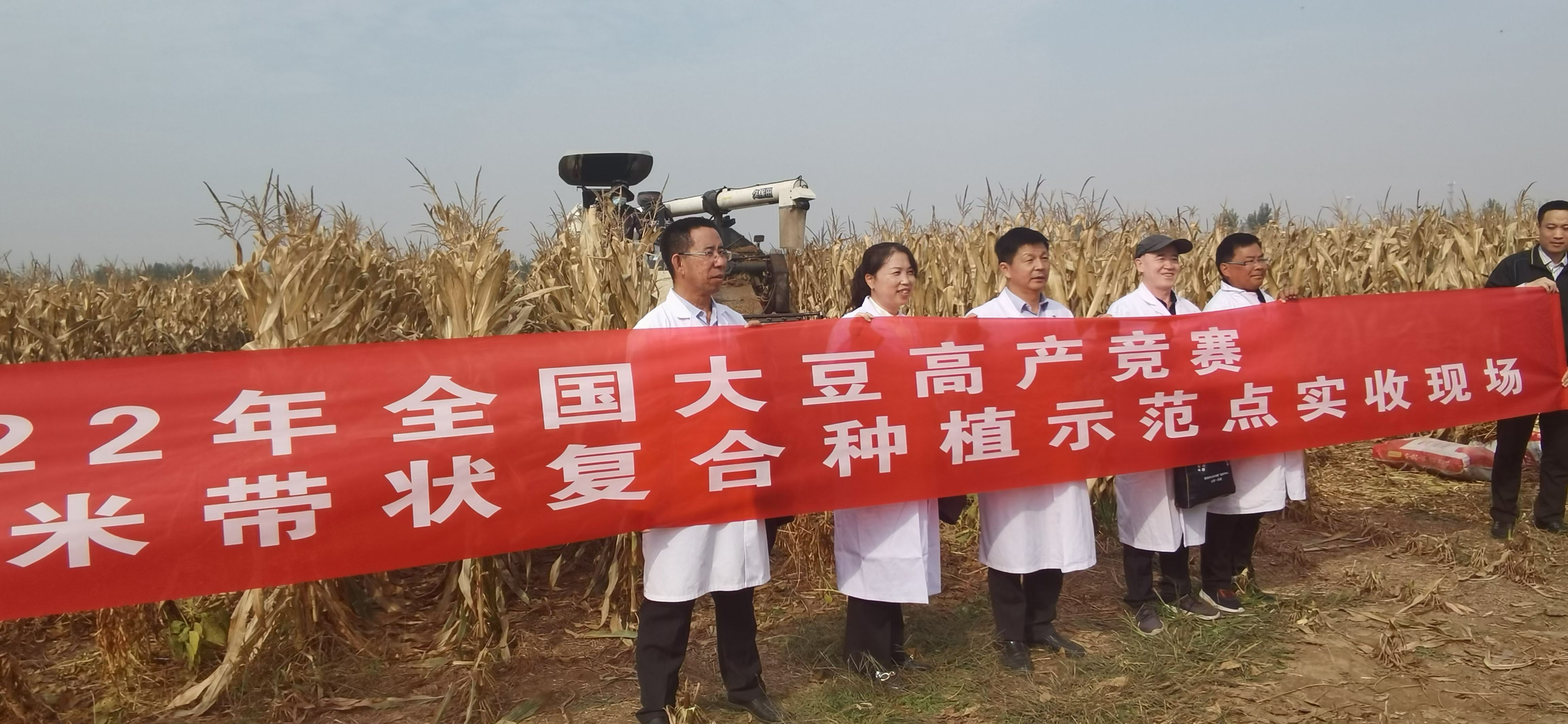 德州种大豆一亩补多少钱,大垄密植大豆喜获丰收