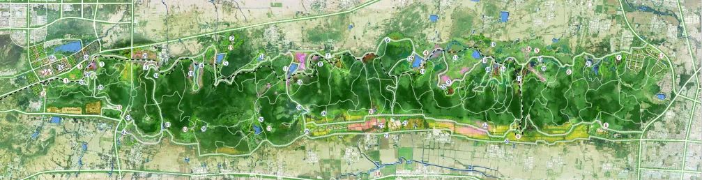 枣庄凤凰绿道进展与施工,枣庄市凤凰绿道项目是什么