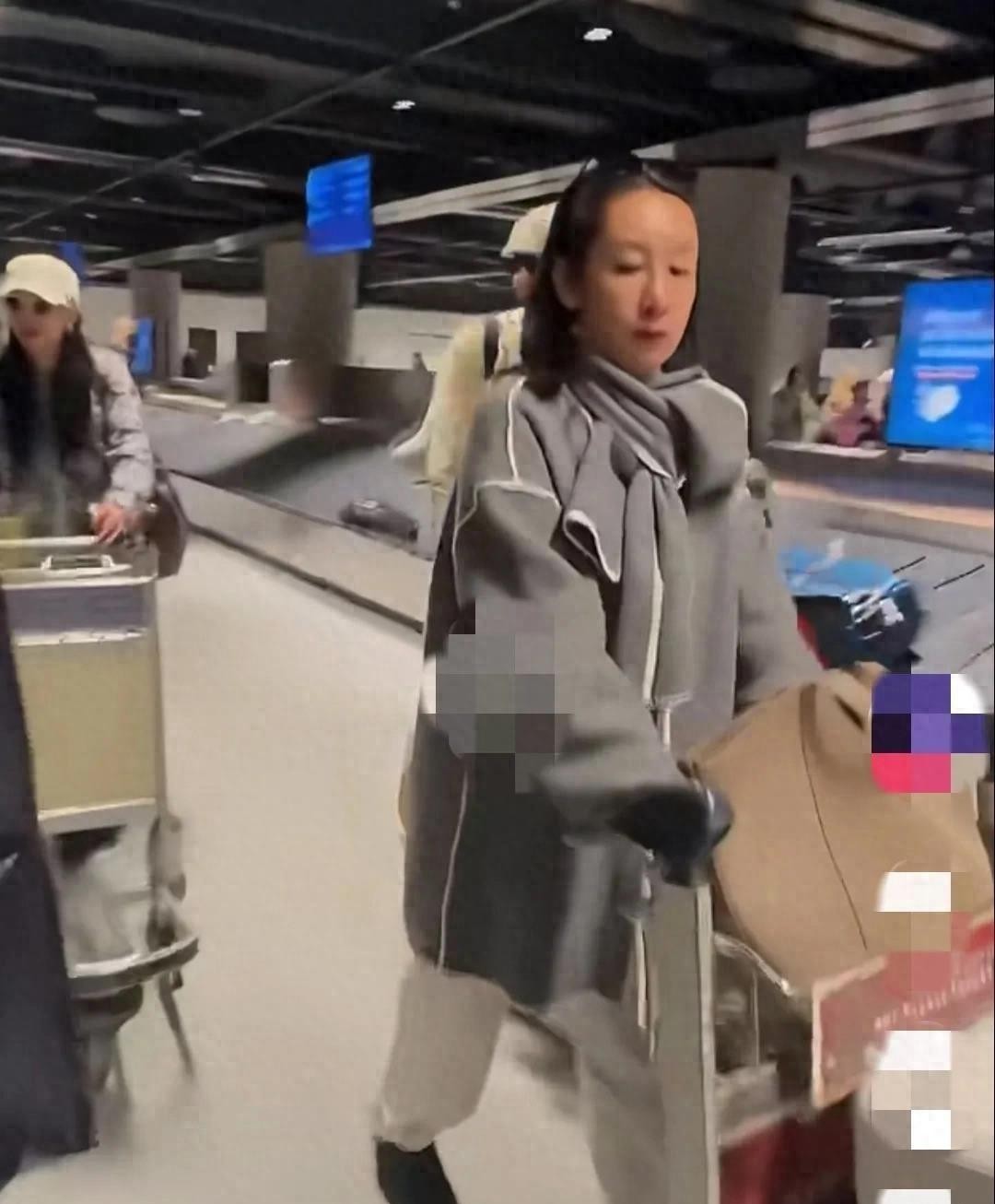 秦海璐现场照片,秦海璐最新路透