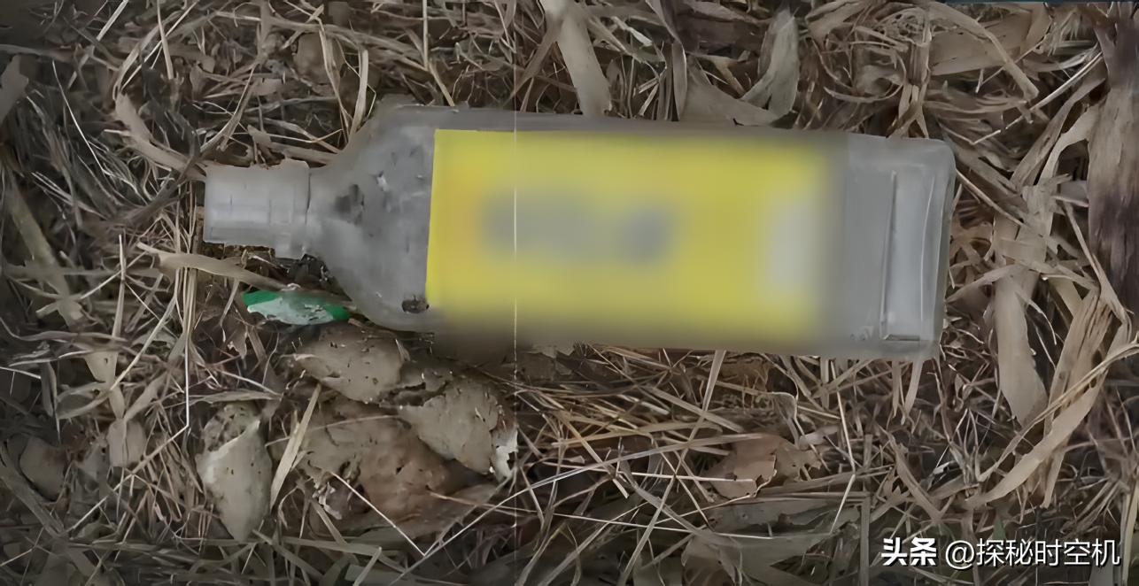 2014年，桃木枝戳穿*体下**？河北女子死状诡异，求爱日记本藏杀机