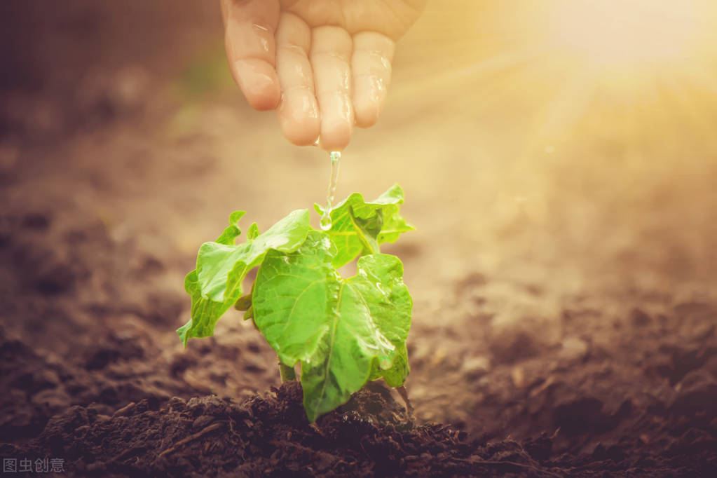 胜人者有力自胜者强给我们的启示,胜人者有力自胜者强给人的感悟