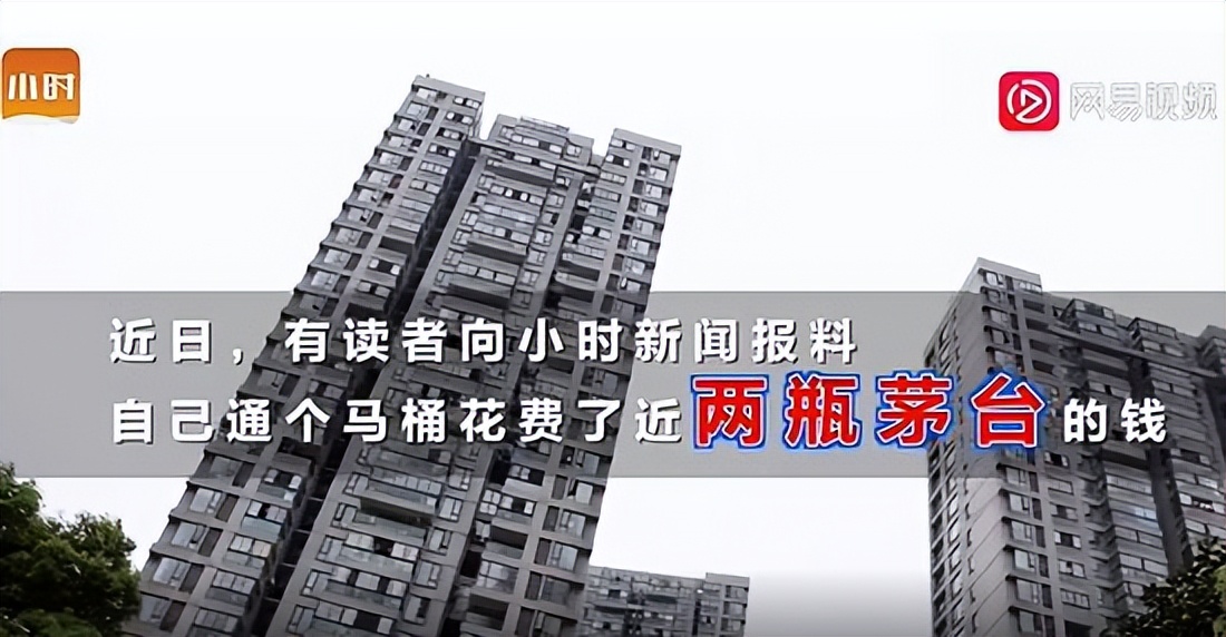 杭州男子诈骗2000万,杭州男子诈骗1000万