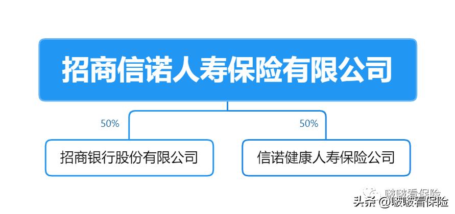 中外合资的保险企业,国内中外合资保险公司排名前十