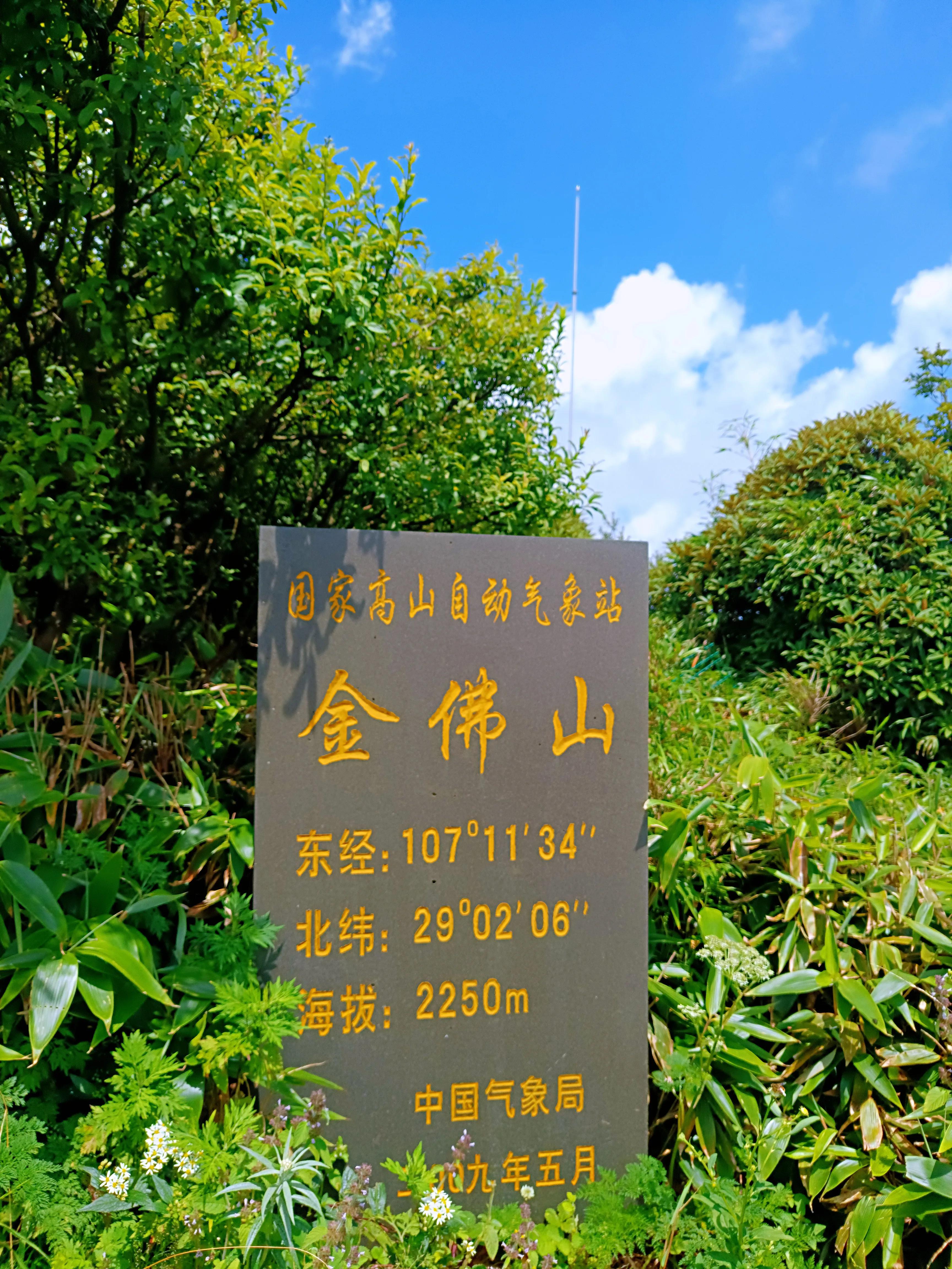 金佛山8月游详细攻略古佛洞,金佛山古佛洞地心之旅