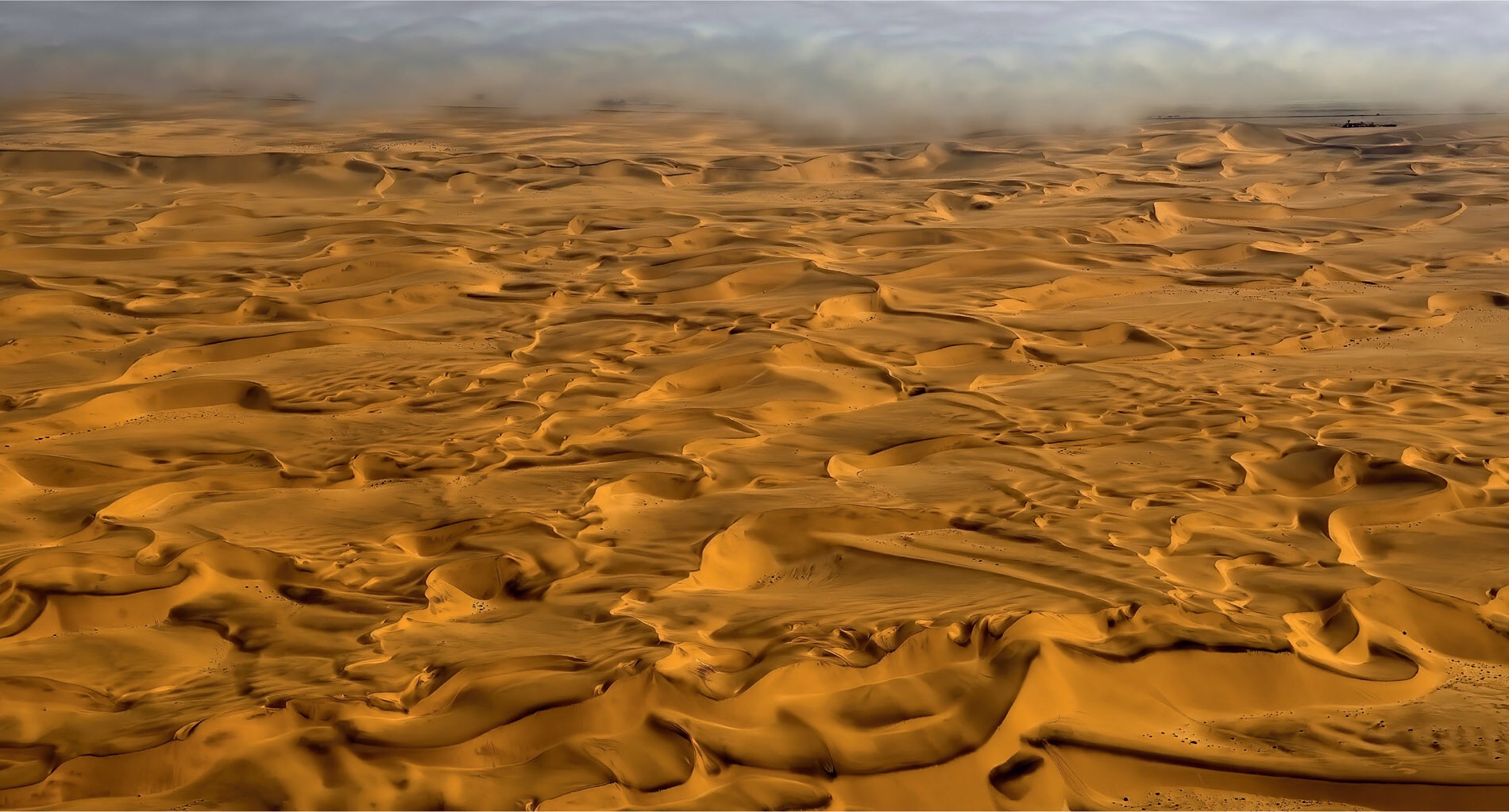 周黑鸭加盟的惨痛教训,周黑鸭单品利润分析