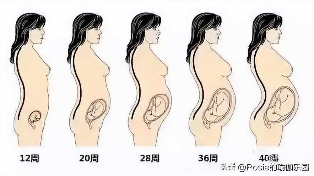 热巴腰臀比礼服,热巴最新造型腰臀比