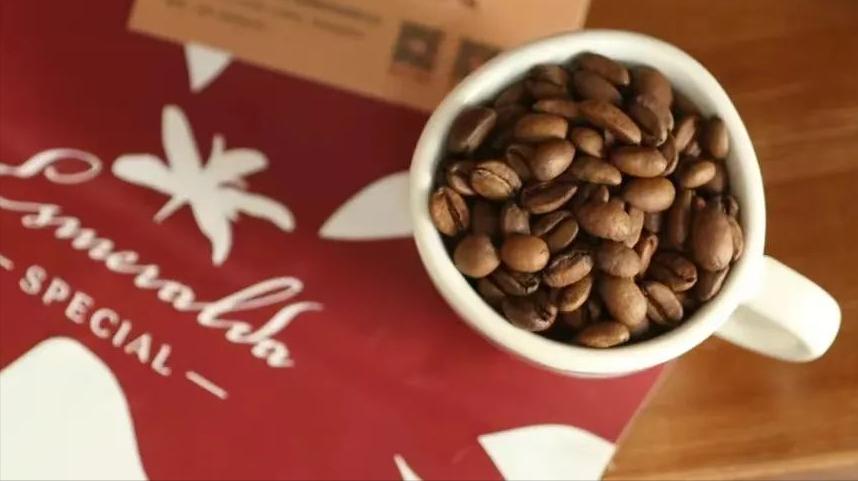 你喝的酒是真的吗,你喝的果酒是假的吗