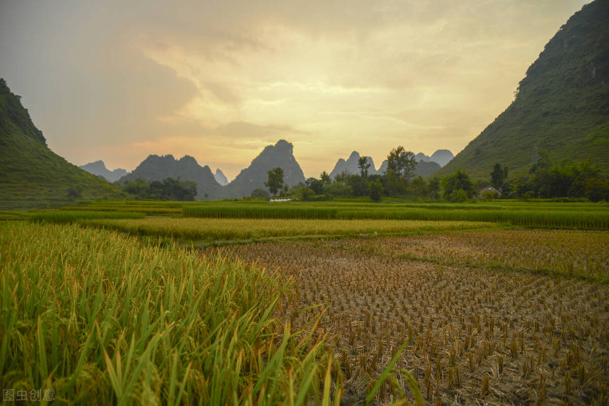矫正期间的思想认识及存在的不足,纠正反馈作用是什么