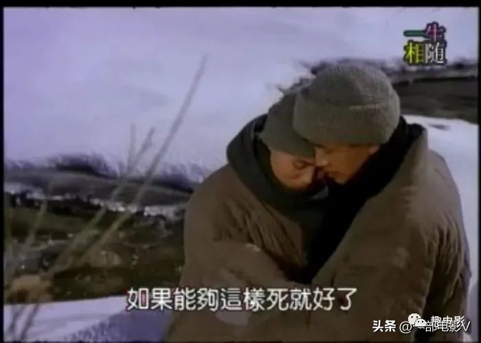 灞卞娈嬭姳,灞卞娈嬭姳楂樻竻