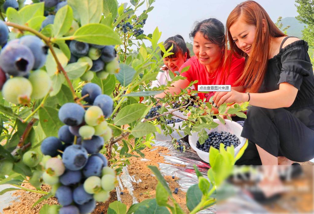 适合农村乡镇的创业小项目,农村创业做什么最适合