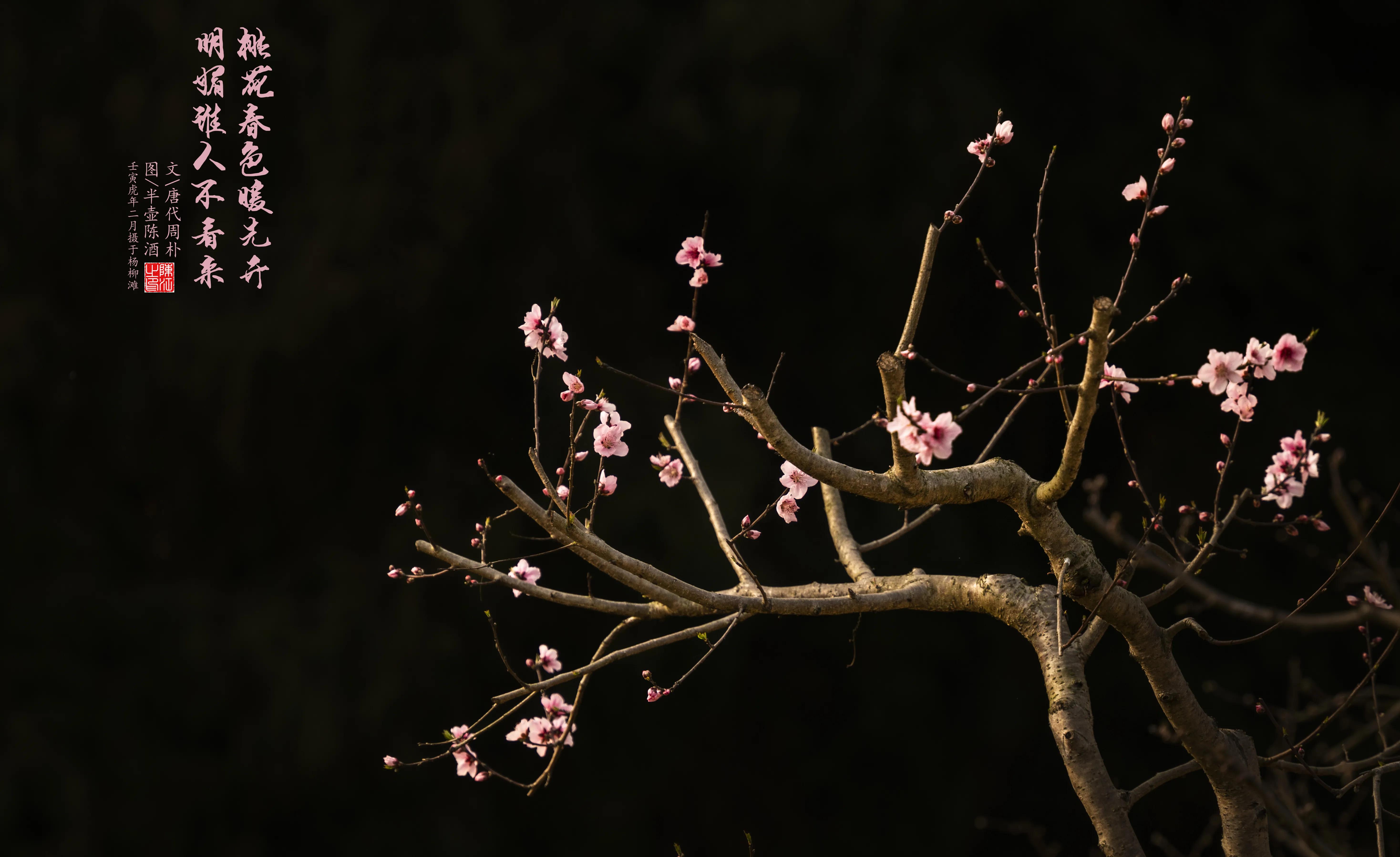 摄影棚拍白底图片,高端白底图拍摄