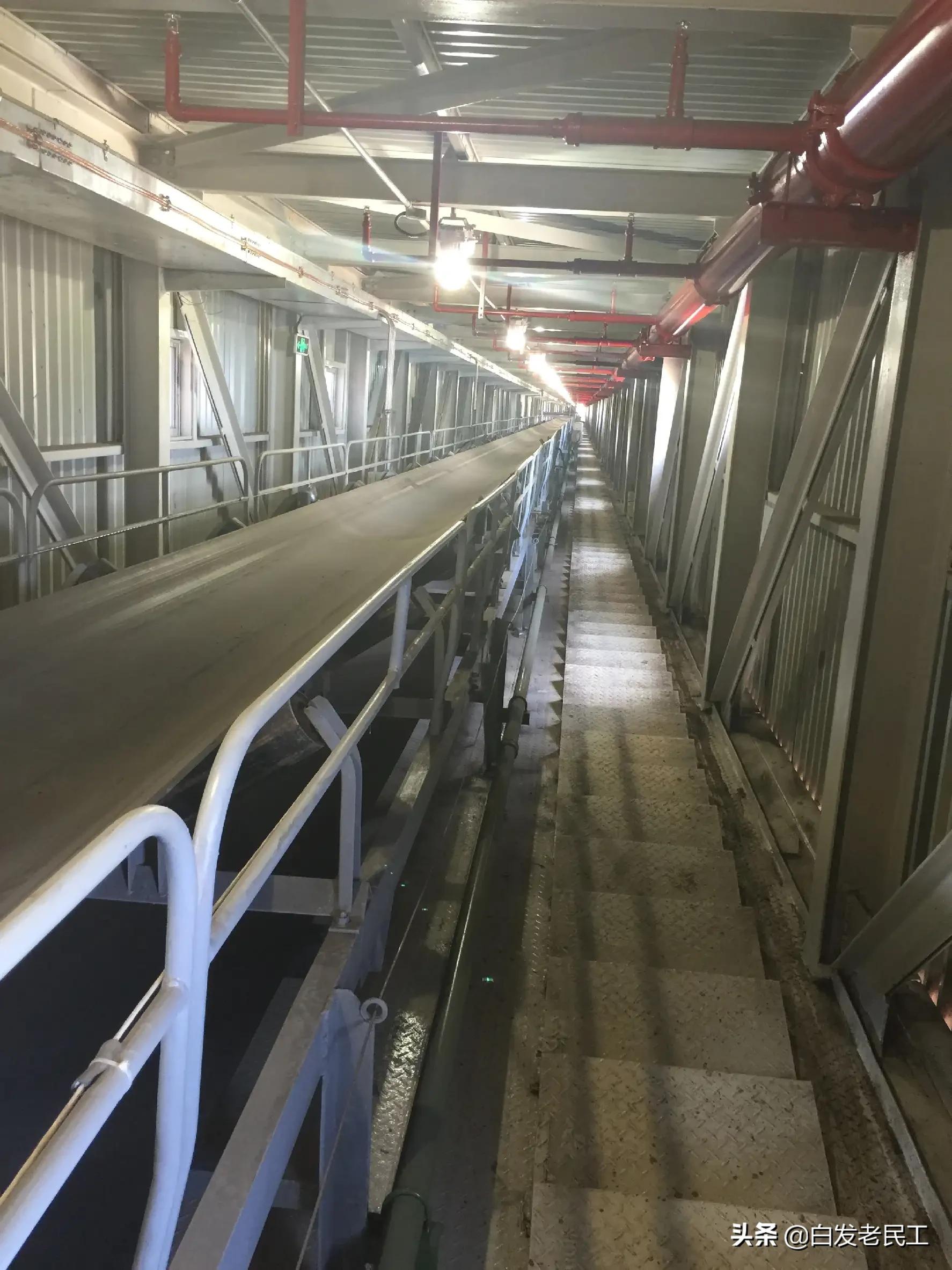 农民工讲干货,农民工讲述视频