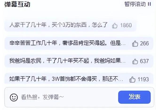 公务员能否戴奢侈品？因“耳钉”走红的李少莉，履历背景不简单