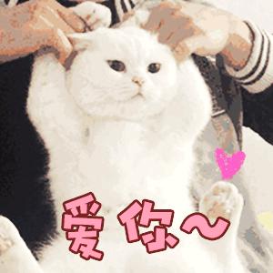 药可以嚼着吃吗,药可以放在胶囊里吗