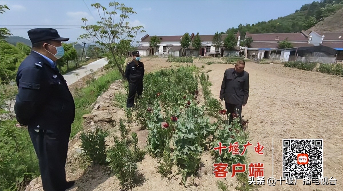 十堰市全市禁毒工作会议,禁毒先进单位主要事迹