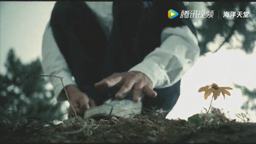 星星的孩子带你走进自闭症,星星的孩子自闭症儿童案例