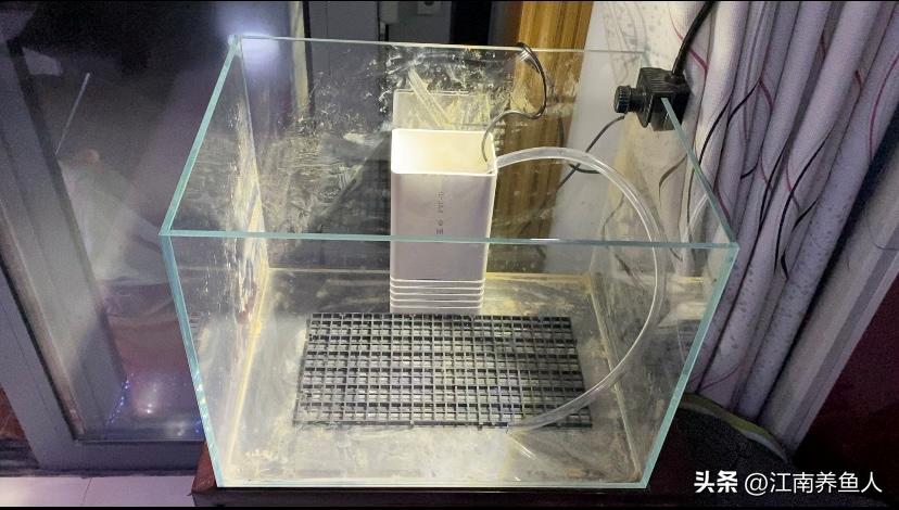 造景缸跟水陆缸一体缸,长方形的缸怎么造景水陆缸