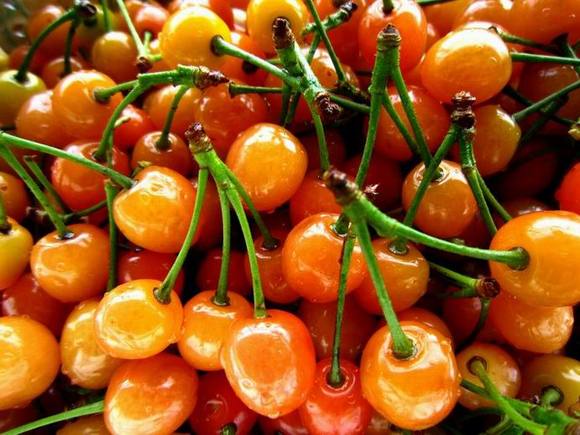 甘肃这边的水果,甘肃的水果少吗