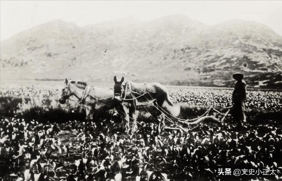 鲁迅儿时玩伴闰土的后人现在咋样,鲁迅闰土的后代100年后再聚首