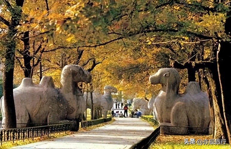 南京都有哪些好玩的旅游景点介绍,南京必须去的旅游景点有哪些地方