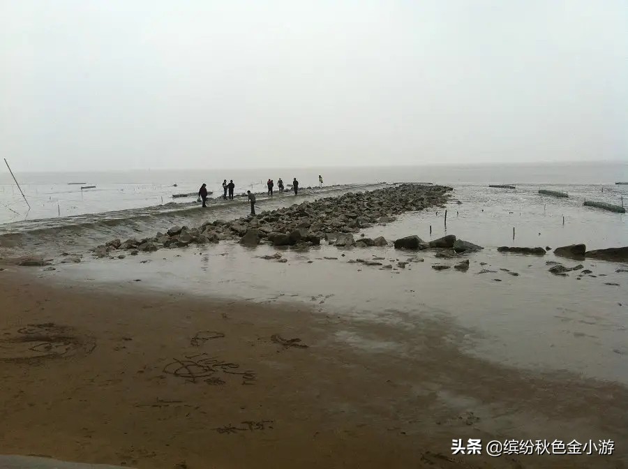 海盐杭州湾抓螃蟹的地方,海盐跨海大桥抓螃蟹位置