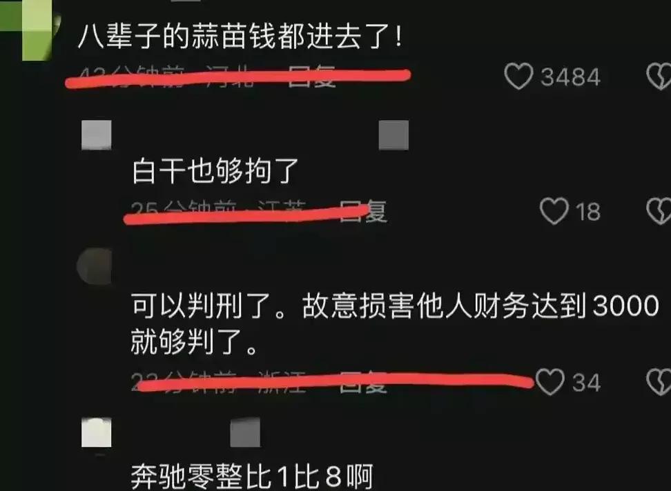 奔驰车堵路大妈疯狂砸车后续,大妈砸奔驰车事件