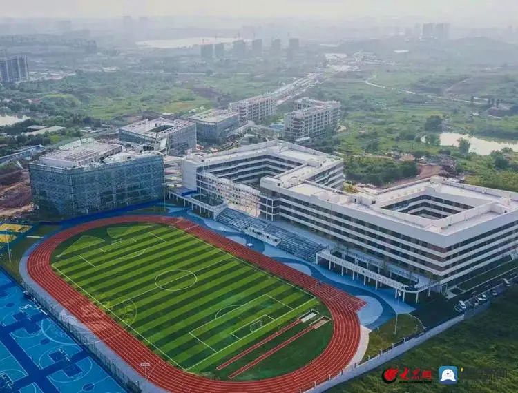 王金战教育讲座全集,王金战学习哪有那么难