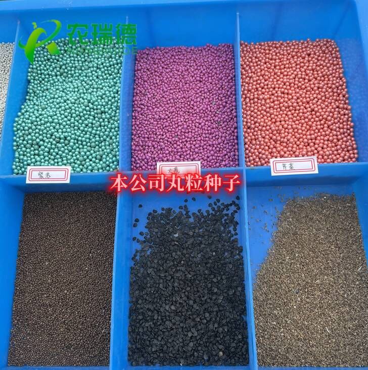 蒲公英籽需要冻一下再播种吗,蒲公英籽播种