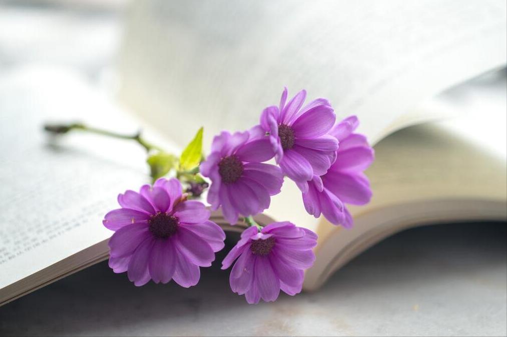 想要赚好钱需要做什么事,想要挣到钱必须明白的道理